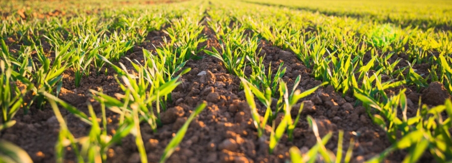 Agricultural