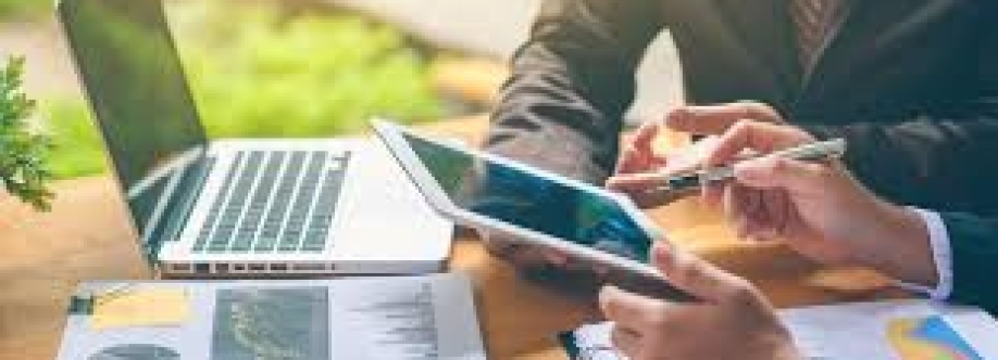 Strategy Consultant