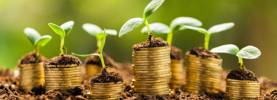 Microfinance