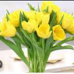Prasanth P